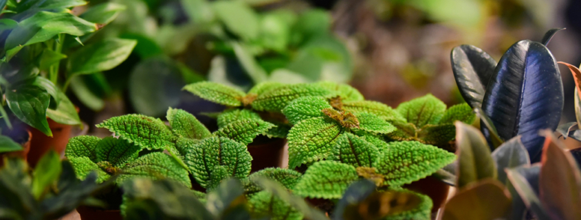 Header_schmal_1200x395_shop1